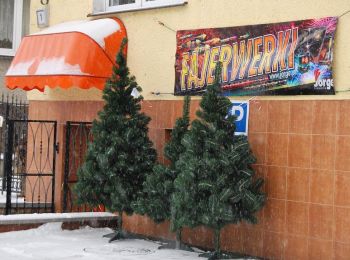 Kwiaciarnia Anna Miłodrowska - Sulechów 